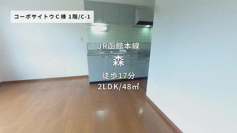 動画