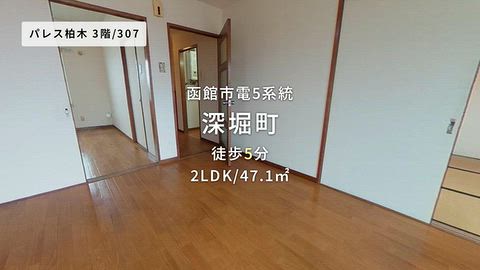 動画