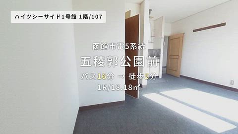 動画