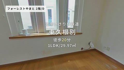 動画