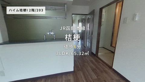 動画