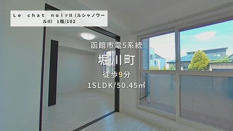 動画