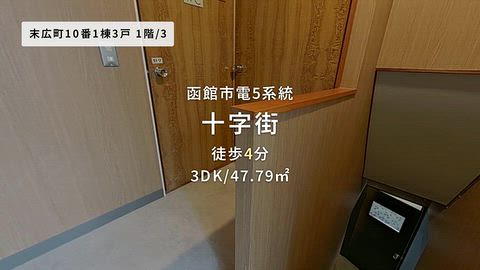 動画