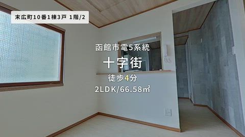 動画