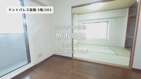 動画