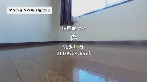 動画