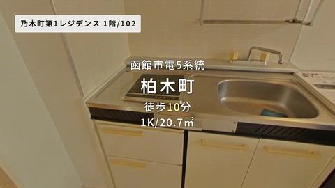 動画