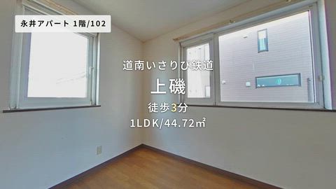 動画