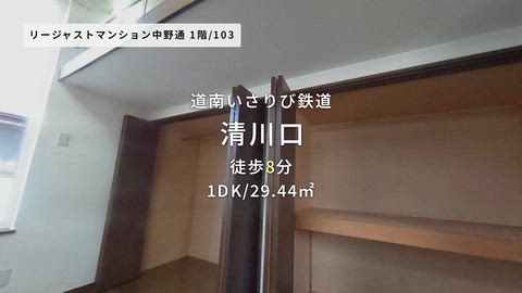 動画