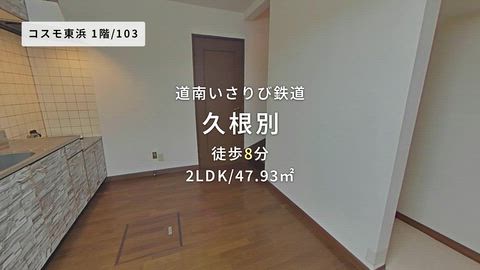 動画