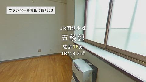 動画