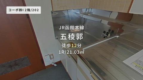 動画