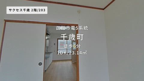 動画