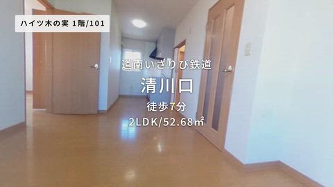 動画