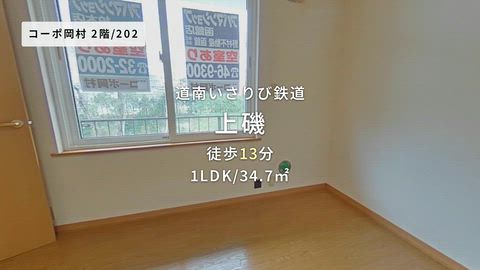 動画