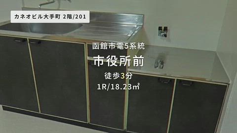 動画