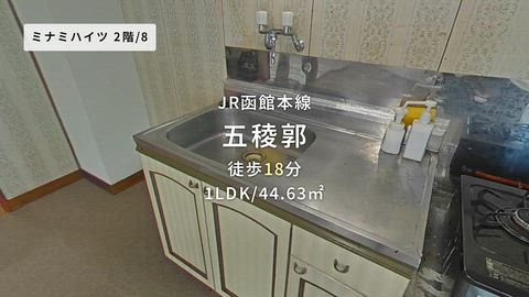 動画