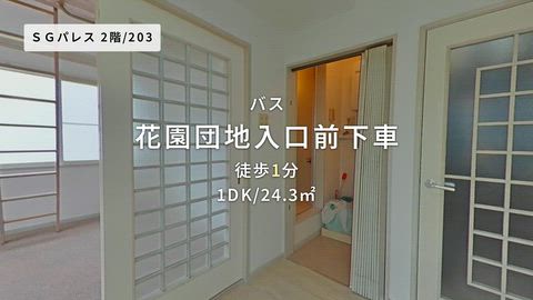動画