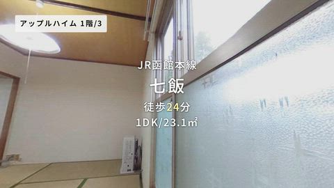 動画