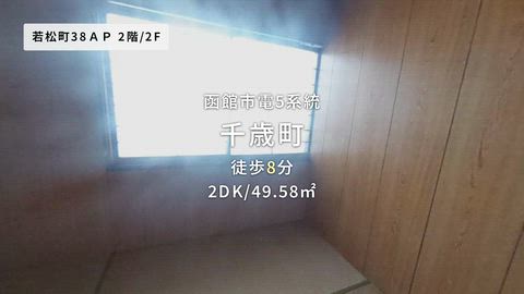 動画