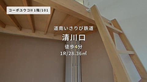 動画