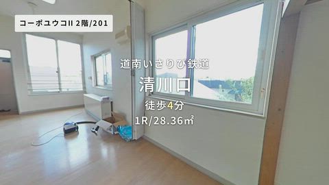 動画
