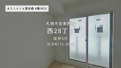 動画