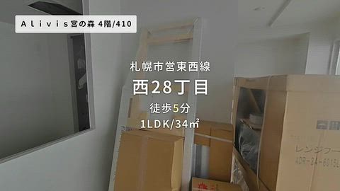 動画