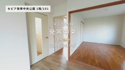 動画