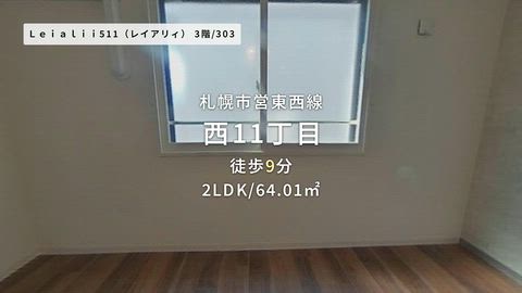 動画