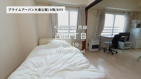 動画