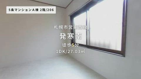 動画