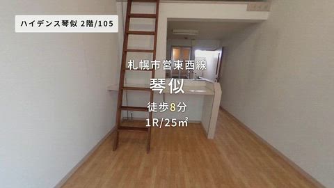 動画