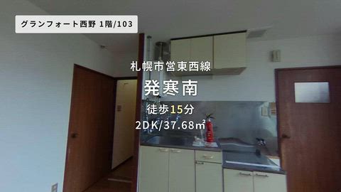 動画