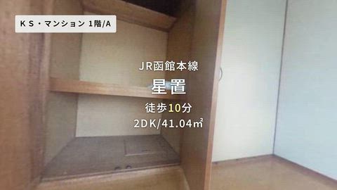 動画