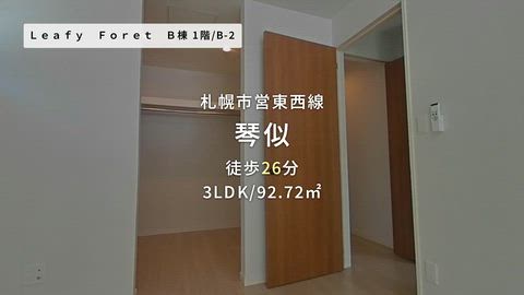 動画