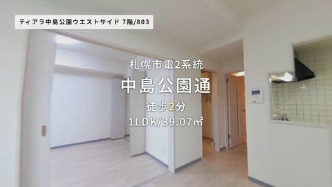 動画