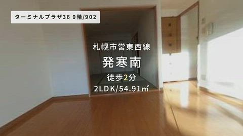 動画