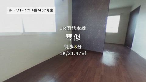動画