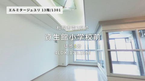 動画
