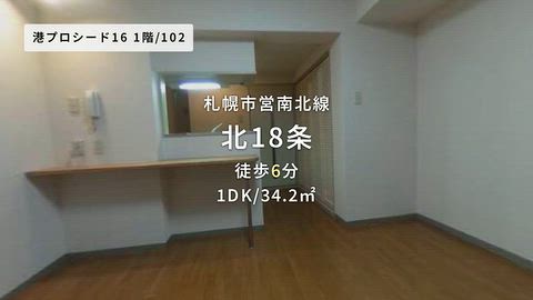 動画
