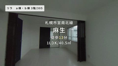 動画