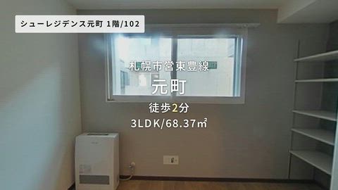 動画