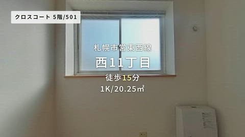 動画