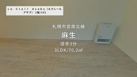 動画