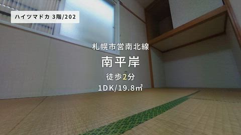 動画