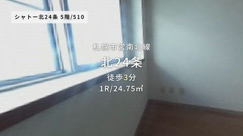 動画