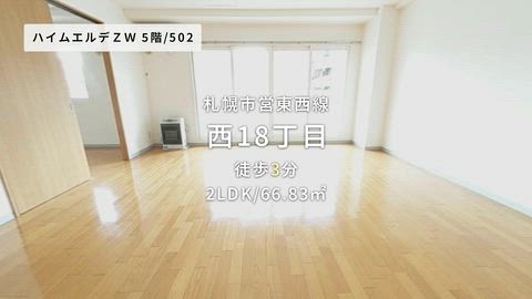 動画