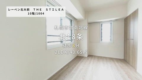 動画