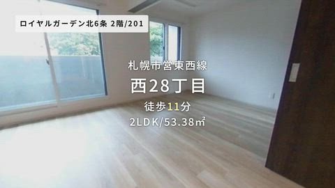 動画